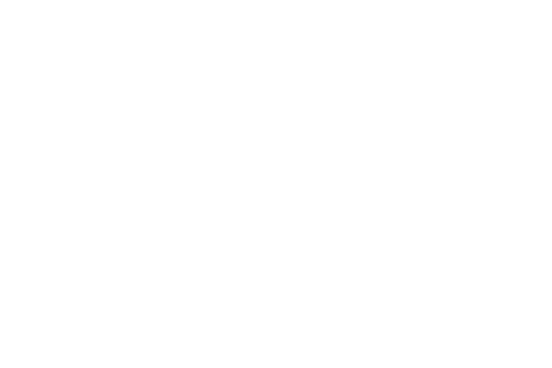 Academy Award Nominee